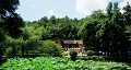 長(zhǎng)沙出發(fā)到花明樓、韶山、張家界國(guó)家森林公園、天門(mén)仙山國(guó)家森林公園四日游