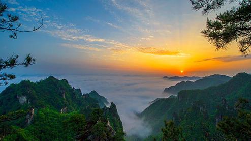 張家界森林公園（金鞭溪、袁家界、楊家界、天子山、十里畫廊）住山上2天1游（可看日出）
